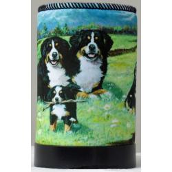 Bernese Mt Dog 4 koozie-front