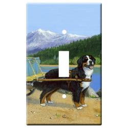 Berner 1A SLSP-M