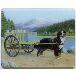 Bernese Mt Dog 1 Tempered Glass Cutting Board