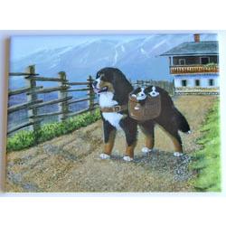 BMD2-6x8CT