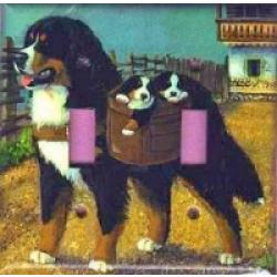 Berner 2A DLSP-P