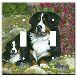 Berner 3a dlsp-M