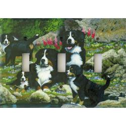 Bernese Mt Dog 3A TLSP-P
