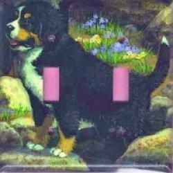Berner 3B DLSP-P