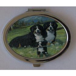 Bernese Mt Dog 4 compact