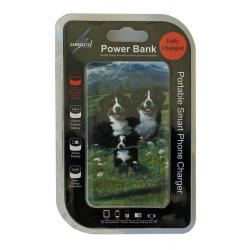 Bernese mt dog power bank 4 package