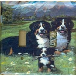 Berner 4A DLSP-P
