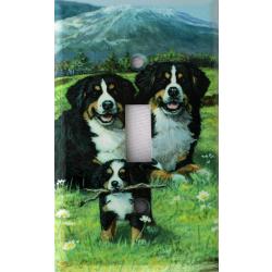 Berner 4A SLSP-M