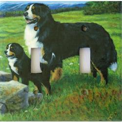 Bernese Mt Dog 5A DLSP-P