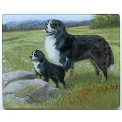 Bernese Mt Dog 5 Tempered Glass Cutting Board
