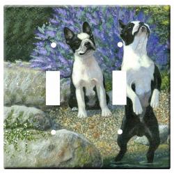 Boston terrier 1a-dlsp-M