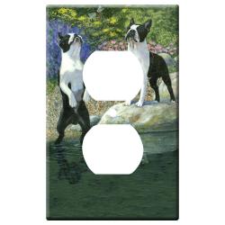 Boston terrier 1a-otlp-M