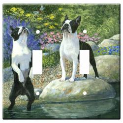 boston terrier 1b dlsp-M