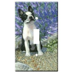 Boston terrier 1b-slsp-M