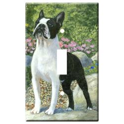 Boston terrier 1C slsp-M