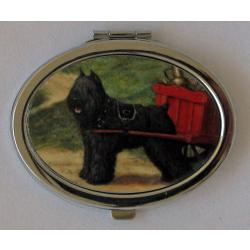 Bouvier 1 compact