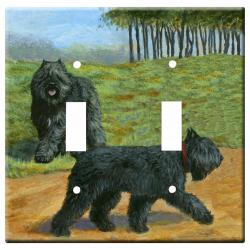 Bouvier 2a-dlsp
