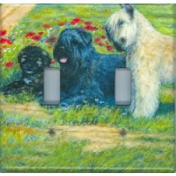 Bouvier 3A DLSP-P