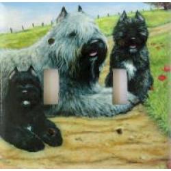 Bouvier 4A DLSP