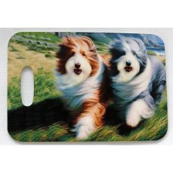 Beardie 43 luggage tag - front