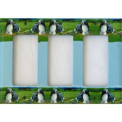 Bearded Collie 5A RTLSP-P