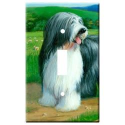Bearded collie 5a-slsp-M