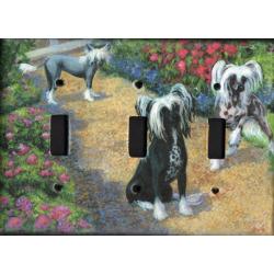 Chinese Crested 1A TLSP-P