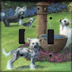 Chinese Crested 2A DLSP-P