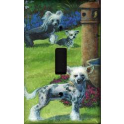 Chinese Crested 2A SLSP-P