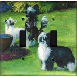 Chinese Crested 2B DLSP-P