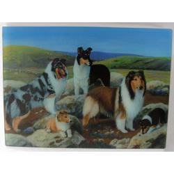 Collie 3 cuttinb board