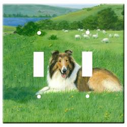 Collie 1a-dlsp