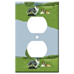 collie 1a-otlp