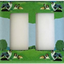 Collie 2A RDLSP-P