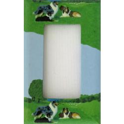 Collie 1A RSLSP-P