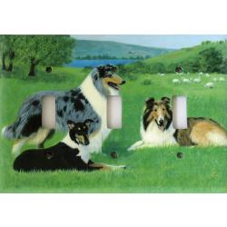 Collie 1A TLSP-P