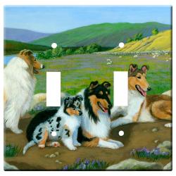 Collie 2a-dlsp