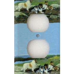 Collie 2A outlet