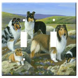 collie 3a-dlsp