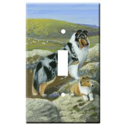 collie 3b slsp