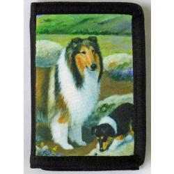 Collie 3B trifold