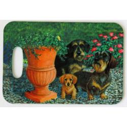 Dachshund 3 luggage tag