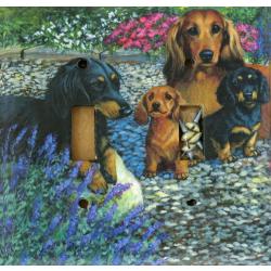 Dachshund 2A DLSP-P