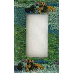 Dachshund 2A RSLSP-P