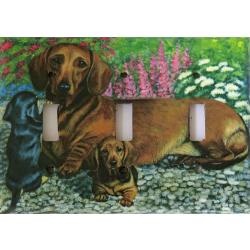 Dachshsund 4A TLSP-P