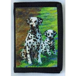 Dalmatian 2B trifold