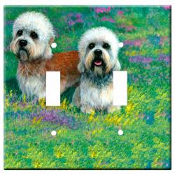 Dandie 1a-dlsp-M