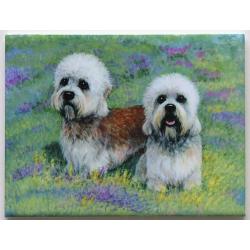 Dandie #1 Ceramic Picture Tile