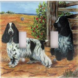 English Cocker 3A DLSP-M