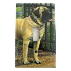 Eng Mastiff 2b slsp-M